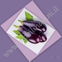 Ricette etniche