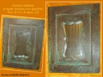 cornice-teak-indiano