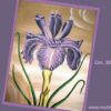 quadro-floreale-iris