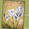 quadro-floreale-iris-screziato