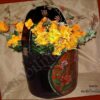 vaso-tibetano