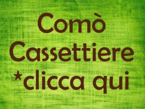 Antica libreria in rovere