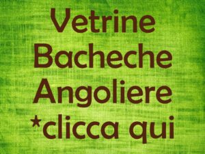 Antica libreria in rovere